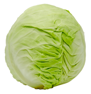 Green Cabbage